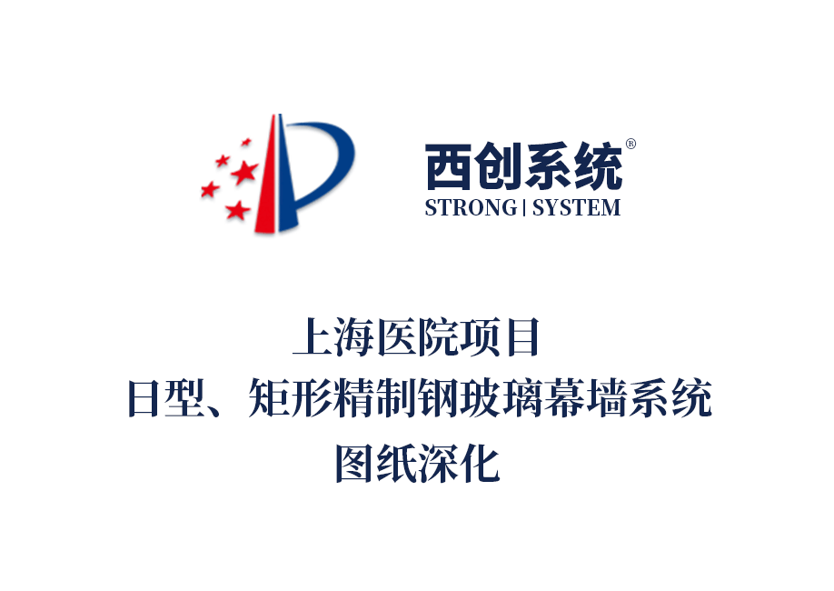 上海医院项目日型、矩形精制钢玻璃幕墙系统图纸深化 - 西
