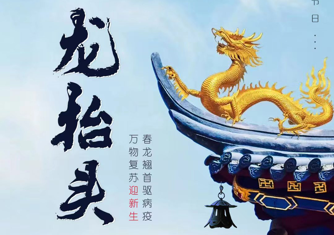 二月二 龙抬头 春意盎然万象新 —— 西创系统